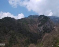 長恨歌